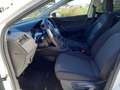 SEAT Ibiza 1.0 TSI S&S Reference Plus 95 Alb - thumbnail 22