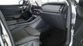 Skoda Kodiaq Kodiaq 1.5 TSI Hybrid DSG 7 posti Style NUOVA DA Gris - thumbnail 15