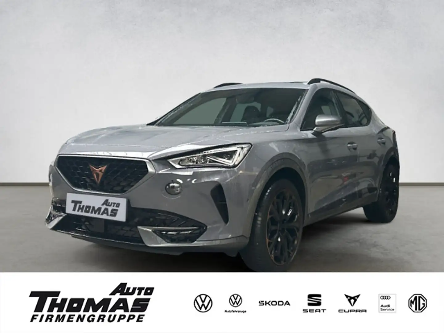 CUPRA Formentor VZ 2.0TSI DSG 310PS Grau - 1