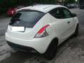 Lancia Ypsilon 1.0 firefly hybrid Wit - thumbnail 5