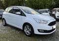 Ford C-Max 1.5 tdci Titanium X s&s 120cv VAN Bílá - thumbnail 8