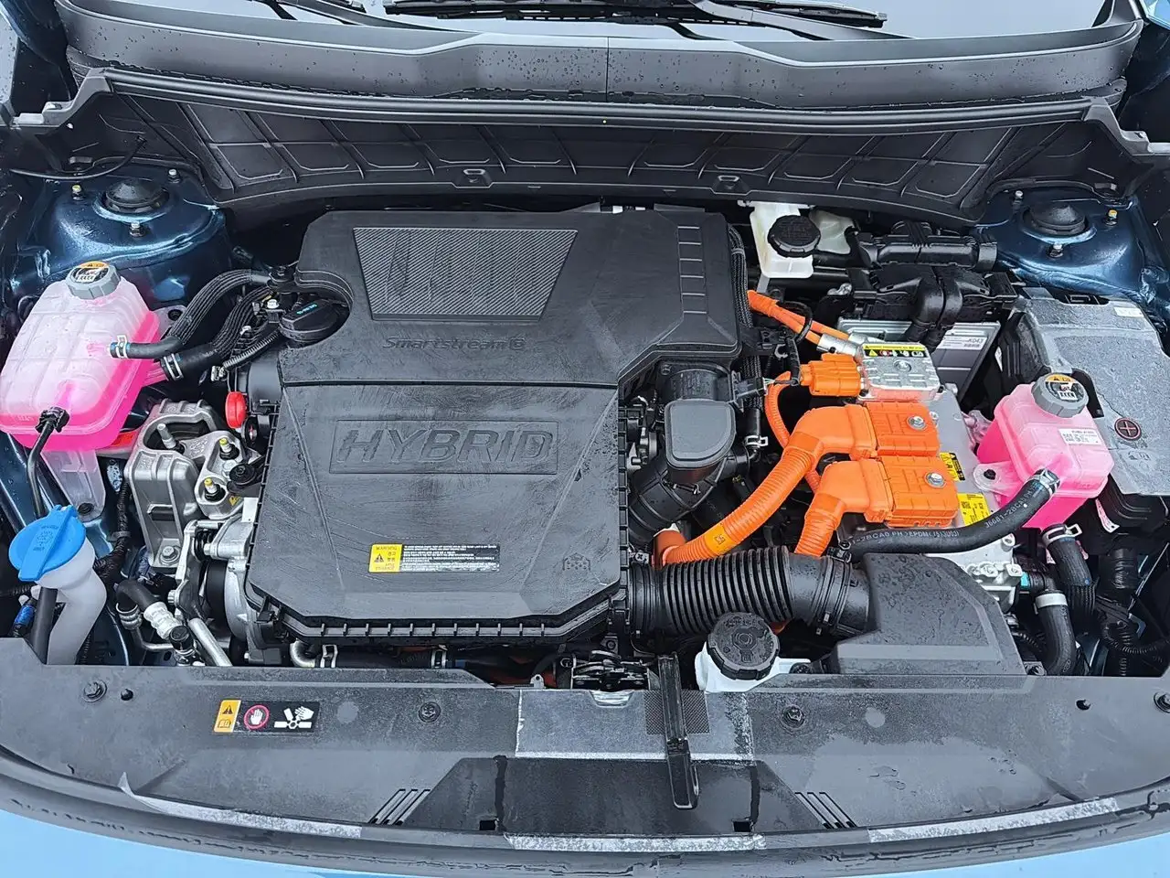 Kia Niro photo Kia Niro