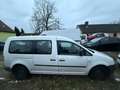 Volkswagen Caddy Maxi Kombi XXL Weiß - thumbnail 16
