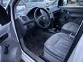 Volkswagen Caddy Maxi Kombi XXL Weiß - thumbnail 4