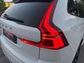 Volvo XC60 D4 R-Design Geartronic**1.Besitz**LED**NAVI**AHK** Weiß - thumbnail 11