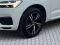 Volvo XC60 D4 R-Design Geartronic**1.Besitz**LED**NAVI**AHK** Weiß - thumbnail 8