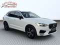 Volvo XC60 D4 R-Design Geartronic**1.Besitz**LED**NAVI**AHK** Weiß - thumbnail 2