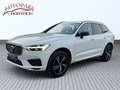 Volvo XC60 D4 R-Design Geartronic**1.Besitz**LED**NAVI**AHK** Weiß - thumbnail 1