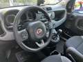 Fiat Panda 1.0 firefly hybrid City Life 70cv Noir - thumbnail 5