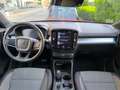 Volvo XC40 XC40 1.5 t2 Momentum Pro auto my21 Rosso - thumbnail 7