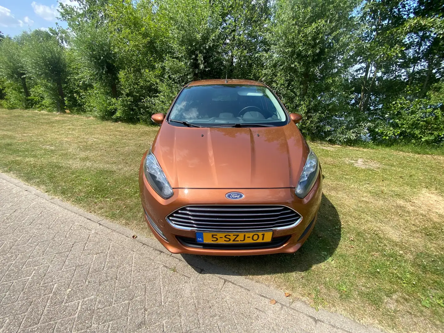 Ford Fiesta Fiesta 1.0 Style Marrón - 2