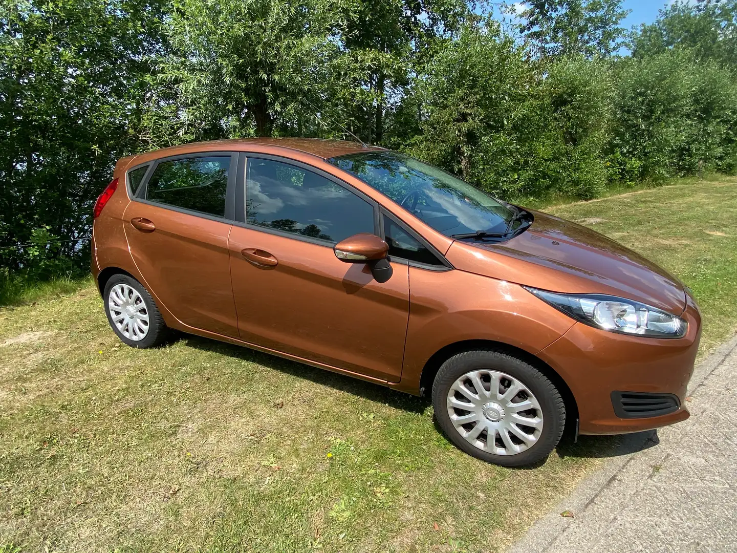 Ford Fiesta Fiesta 1.0 Style Marrón - 1