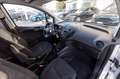 Ford Transit Courier 1.0 ecoboost 100cv S&S Trend my20 Bianco - thumbnail 8