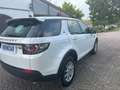 Land Rover Discovery Sport 2.0 td4 HSE Luxury awd 150cv SOLO 98.000 KM Bianco - thumbnail 4