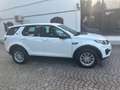 Land Rover Discovery Sport 2.0 td4 HSE Luxury awd 150cv SOLO 98.000 KM Bianco - thumbnail 6