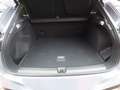 CUPRA Terramar VZ 2.0 TSI  4Drive PANO MATRIX SENNHEI Gris - thumbnail 15
