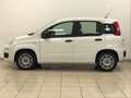 Fiat Panda 1.2 EasyPower Bianco - thumbnail 5
