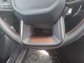 Ford Ranger Raptor+360 Grad Kamera+AHK+Navi+Frontscheibenheizu Grau - thumbnail 15