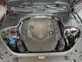 Mercedes-Benz S 560 +AMG+Memory+KAMERA+Designo+Airscarf+360° Rouge - thumbnail 5