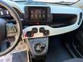 Fiat Panda Pandina Cross Hybrid 1.0/PDC H/ 7" BildS/PDC 51... Rot - thumbnail 12