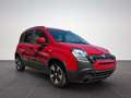 Fiat Panda Pandina Cross Hybrid 1.0/PDC H/ 7" BildS/PDC 51... Rot - thumbnail 3