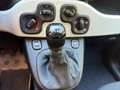 Fiat Panda Pandina Cross Hybrid 1.0/PDC H/ 7" BildS/PDC 51... Rot - thumbnail 14
