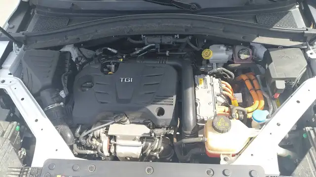 MG Ehs view 15