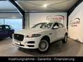 Jaguar F-Pace Pure AWD/Xenon/Navi/CarPlay/Garantie/E6 Blanc - thumbnail 1