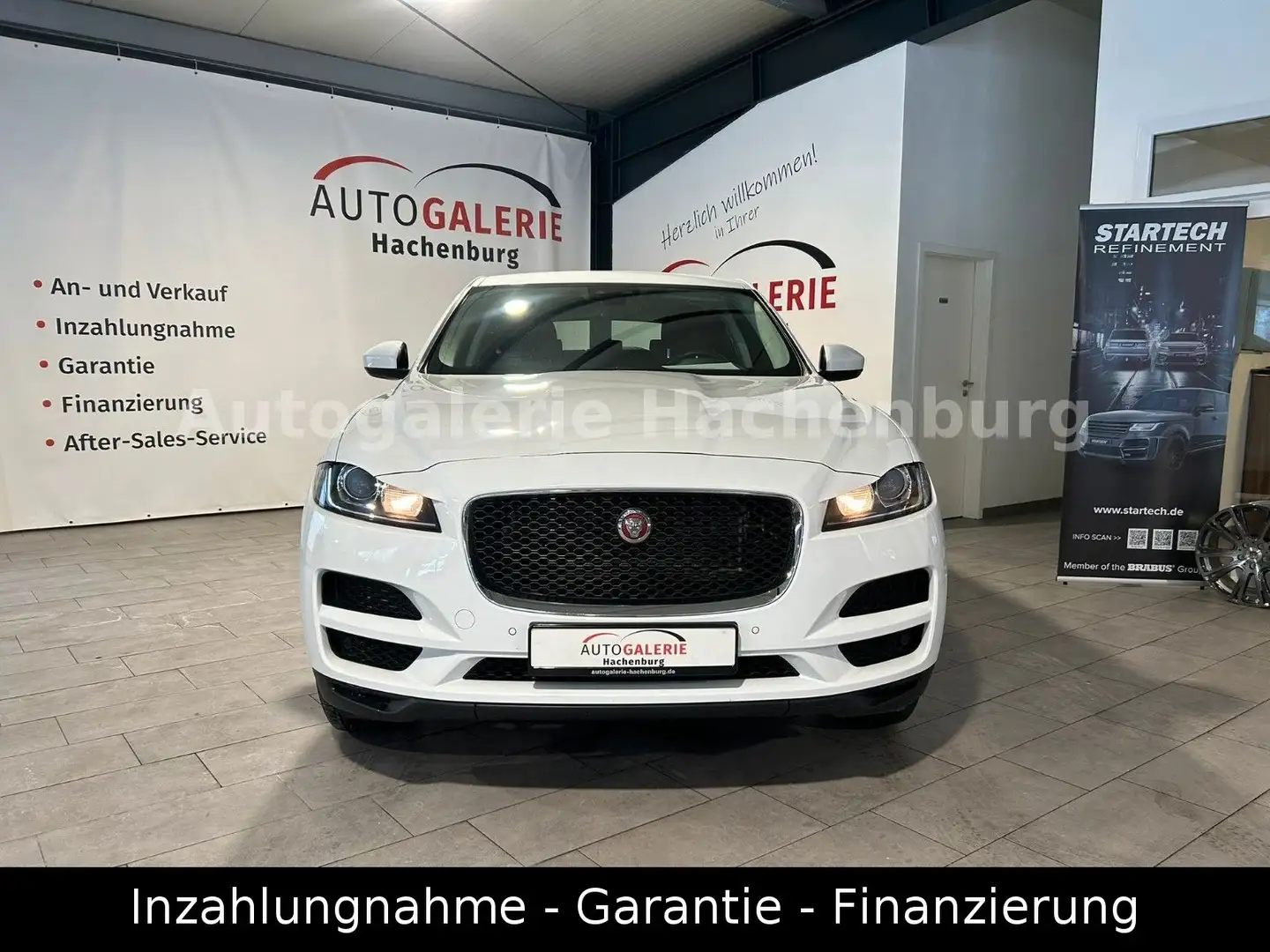 Jaguar F-Pace Pure AWD/Xenon/Navi/CarPlay/Garantie/E6 Blanc - 2