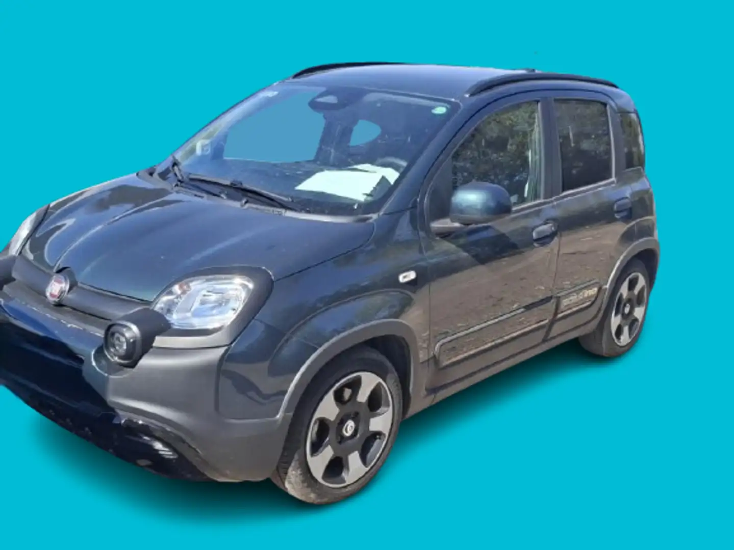 Fiat Panda Panda 1.0 FireFly S&S Hybrid Pandina Verde - 1