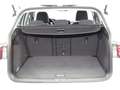 Volkswagen Golf VIII Variant 1.5 eTSI Life Standheizung Panorama Weiß - thumbnail 19