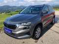 Skoda Karoq Ambition, Kamera, AppleCarplay, Alu, Virt. Cockpit Grau - thumbnail 1