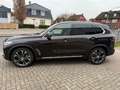 BMW X5 xDrive 40 d xLine, Navi, 360°, Leder, Pano, HUD Braun - thumbnail 13