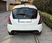 Lancia Ypsilon Ypsilon 1.2 Gold Evo II 5p. Blanco - thumbnail 4