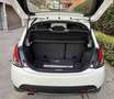Lancia Ypsilon Ypsilon 1.2 Gold Evo II 5p. Blanco - thumbnail 14