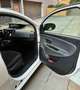 Lancia Ypsilon Ypsilon 1.2 Gold Evo II 5p. Blanco - thumbnail 19