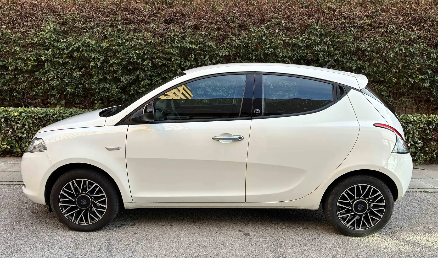 Lancia Ypsilon Ypsilon 1.2 Gold Evo II 5p. Blanco - 2