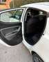 Lancia Ypsilon Ypsilon 1.2 Gold Evo II 5p. Blanco - thumbnail 13