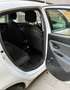 Lancia Ypsilon Ypsilon 1.2 Gold Evo II 5p. Blanco - thumbnail 16