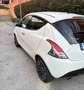 Lancia Ypsilon Ypsilon 1.2 Gold Evo II 5p. Blanco - thumbnail 3