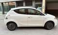 Lancia Ypsilon Ypsilon 1.2 Gold Evo II 5p. Blanco - thumbnail 7
