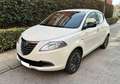 Lancia Ypsilon Ypsilon 1.2 Gold Evo II 5p. Blanco - thumbnail 1