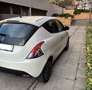Lancia Ypsilon Ypsilon 1.2 Gold Evo II 5p. Blanco - thumbnail 5