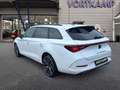 CUPRA Leon SP e-Hybrid Pano/Kamera/Memory/FullLink Weiß - thumbnail 8