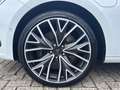 CUPRA Leon SP e-Hybrid Pano/Kamera/Memory/FullLink Weiß - thumbnail 10