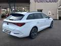 CUPRA Leon SP e-Hybrid Pano/Kamera/Memory/FullLink Weiß - thumbnail 6