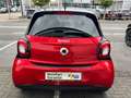 smart forFour 0.9 Turbo 6G-DCT*AUTOM*NAV*KAM*PANO*90PS Rot - thumbnail 6