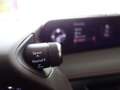 Lexus UX 250h 4x4 Hybrid Aut. *F-SPORT *ERSTBESITZ *WENIG KM *G Noir - thumbnail 22