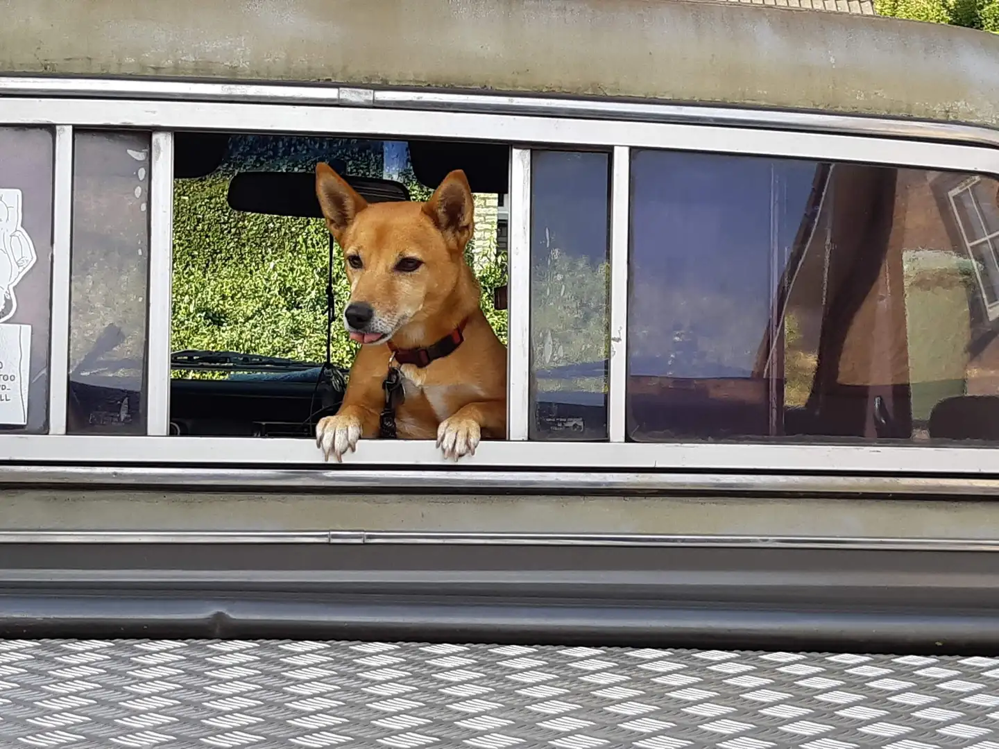 Chevrolet GMC C10 Custom de Luxe 9 Window Сірий - 1