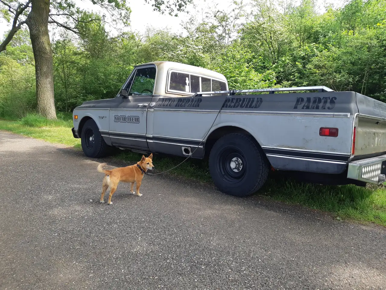 Chevrolet C10 GMC C10 (C30) 5.7 L 9-Window LPG, foto 5